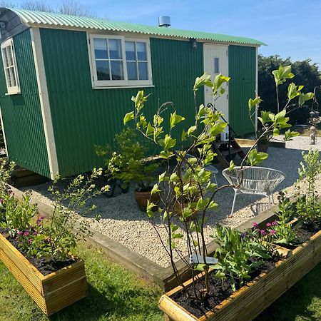 Toms Hut And Robins Rest Shepherd Huts Near ウェイドブリッジ エクステリア 写真