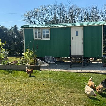 Toms Hut And Robins Rest Shepherd Huts Near ウェイドブリッジ エクステリア 写真