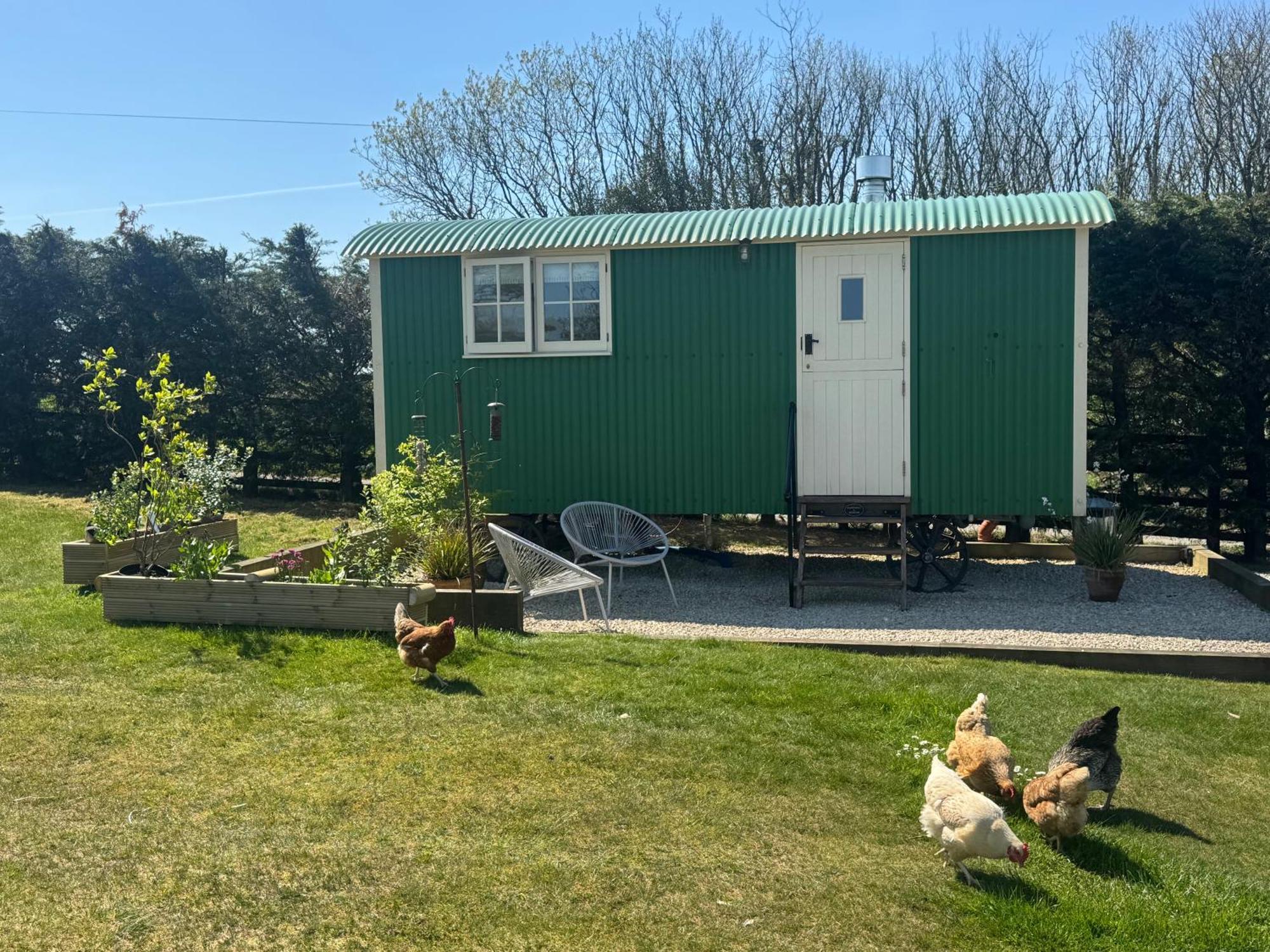 Toms Hut And Robins Rest Shepherd Huts Near ウェイドブリッジ エクステリア 写真